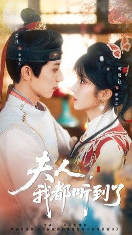 夫人，我都听到了，夫人每天都想被休